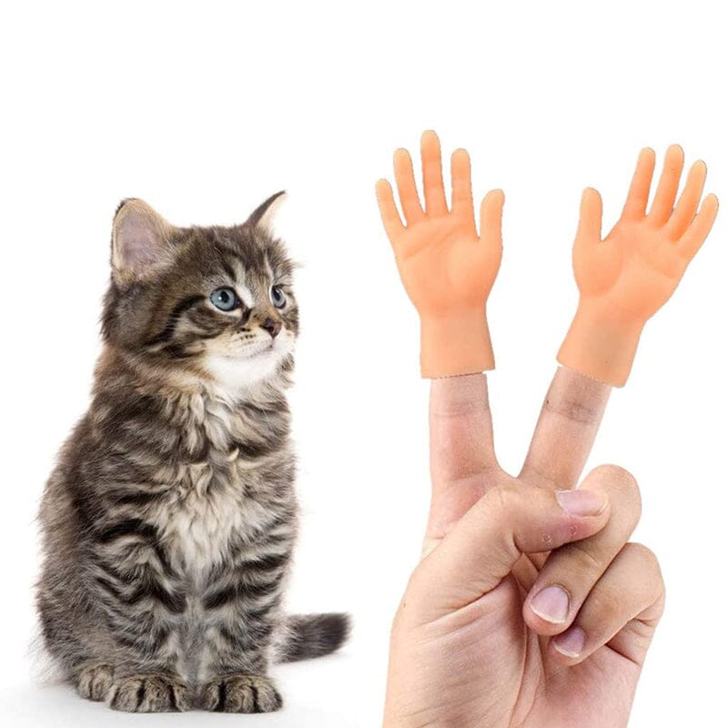 💪🐱Funny Cat Massage Gloves