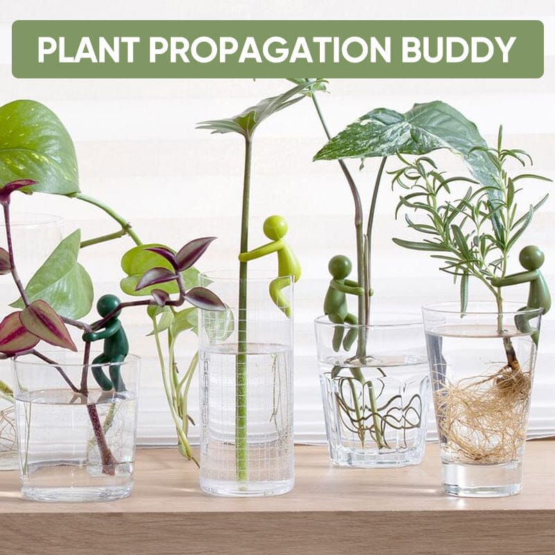 Plant Propagation Buddy