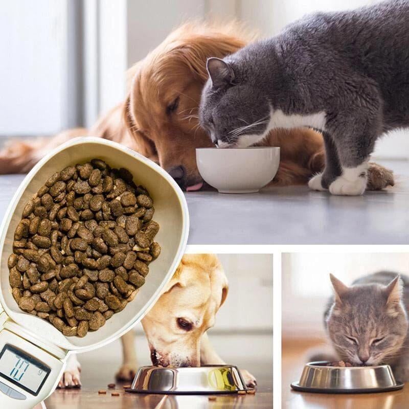 Food Measuring Scoop Scale