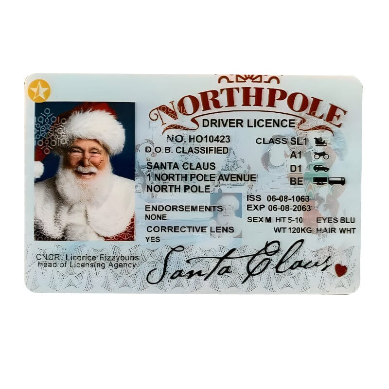 🎅Santa's Lost Drivers License|Funny Gifts For Kids