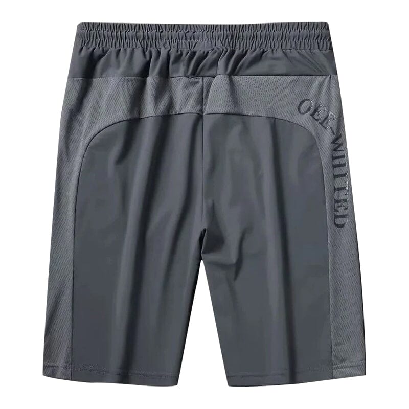 Mesh Ice Shorts