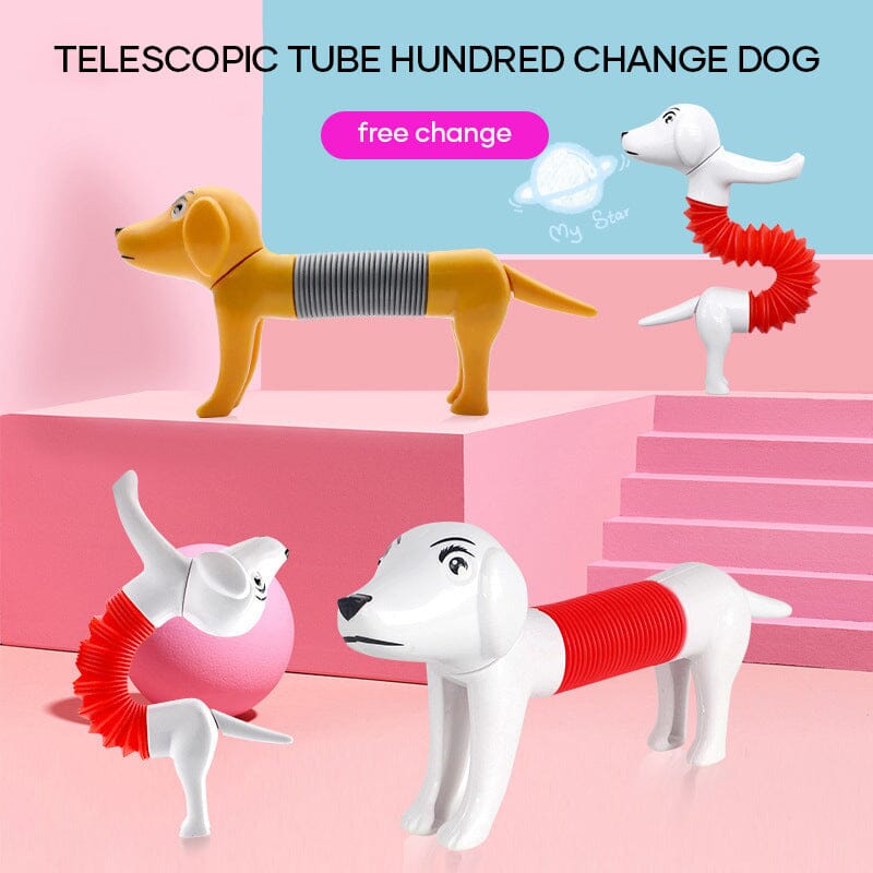 Telescopic Dog Toy