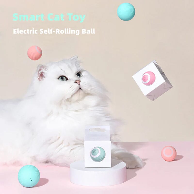 【BIG SALE】2 in 1 Simulated Interactive hunting cat toy
