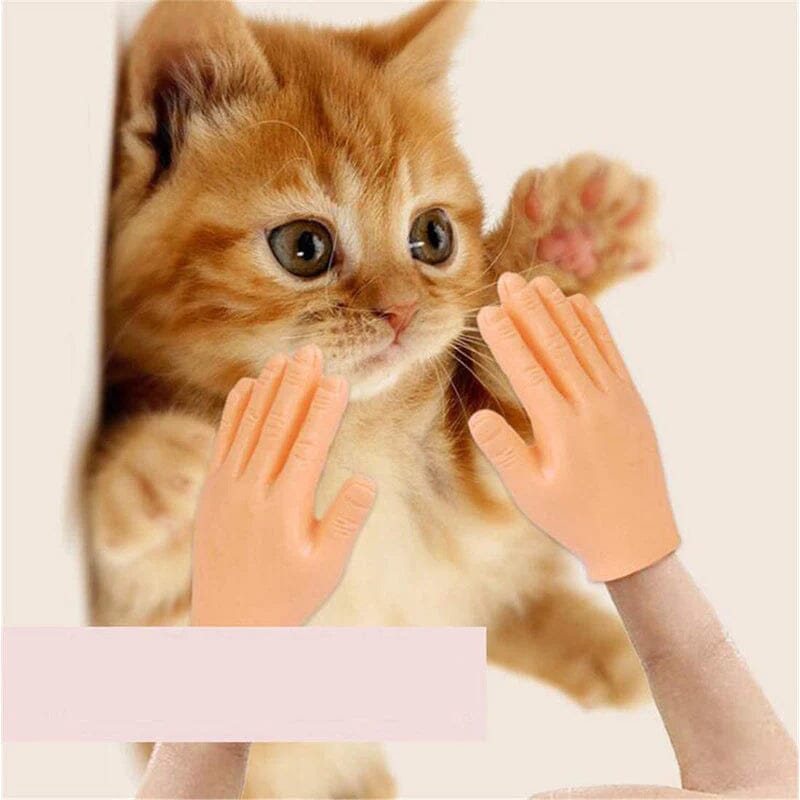 💪🐱Funny Cat Massage Gloves