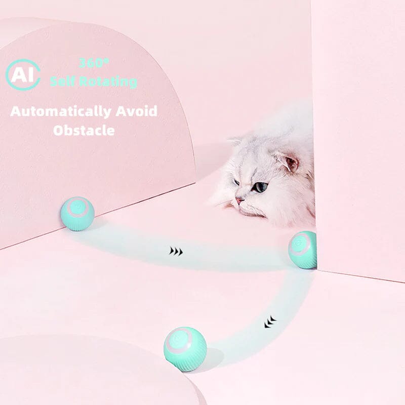 【BIG SALE】2 in 1 Simulated Interactive hunting cat toy