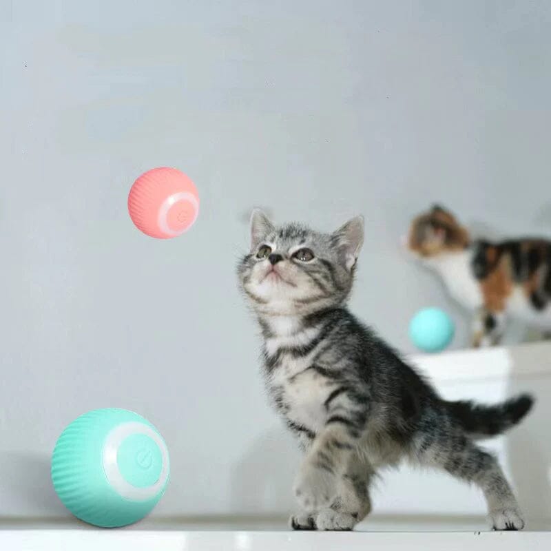 【BIG SALE】Smart Cat Interactive Ball Toys