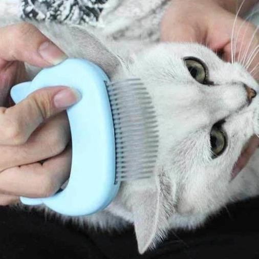 MASSAGE & GROOMING PLEASURE FOR YOUR CAT!