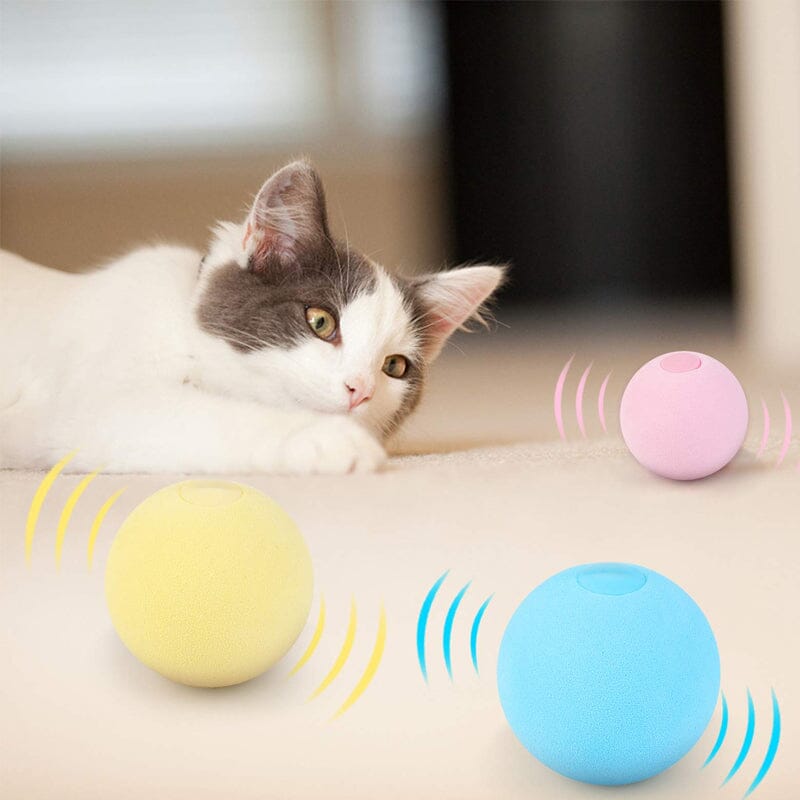 Gravity Barking Cat Toy Ball