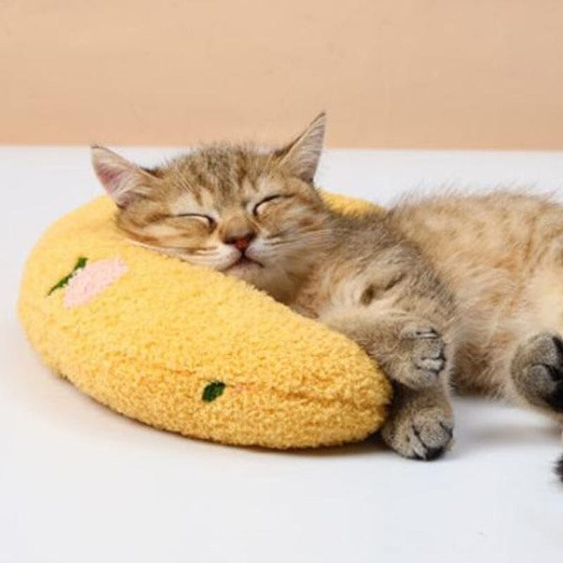 ⚡️Cat Lovely Cozy Pillow