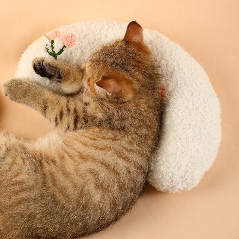 ⚡️Cat Lovely Cozy Pillow