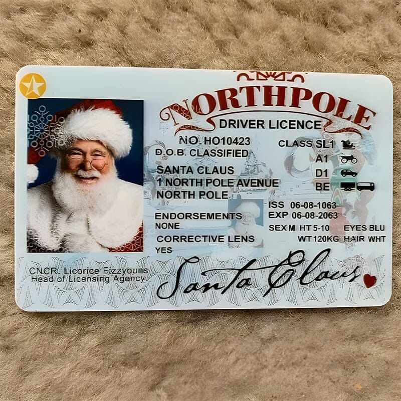 🎅Santa's Lost Drivers License|Funny Gifts For Kids