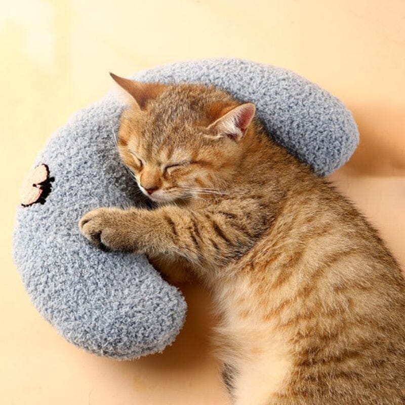 ⚡️Cat Lovely Cozy Pillow