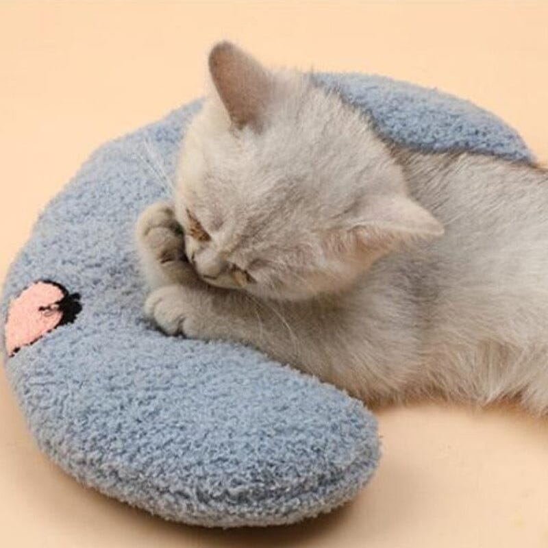 ⚡️Cat Lovely Cozy Pillow