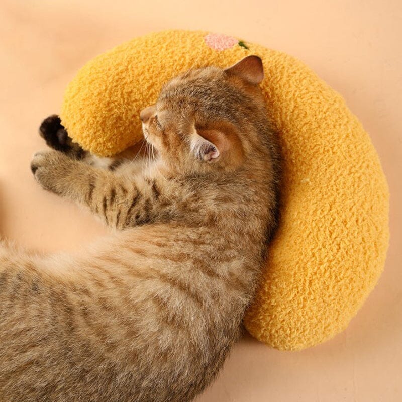 ⚡️Cat Lovely Cozy Pillow