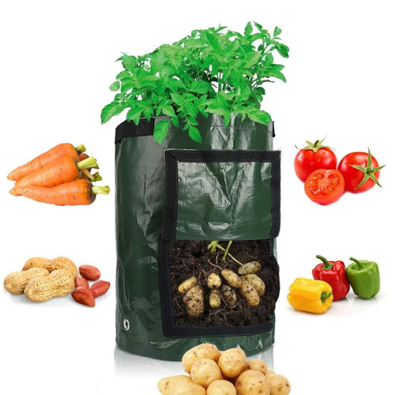 Potato Grow Bags