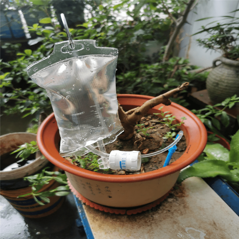 Plant Drip Bag - Plants Drip Irrigation