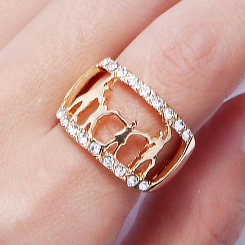 Fashion Accessories - Family Ring