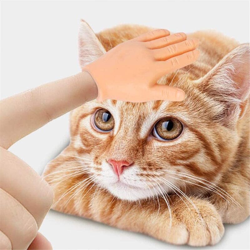 💪🐱Funny Cat Massage Gloves