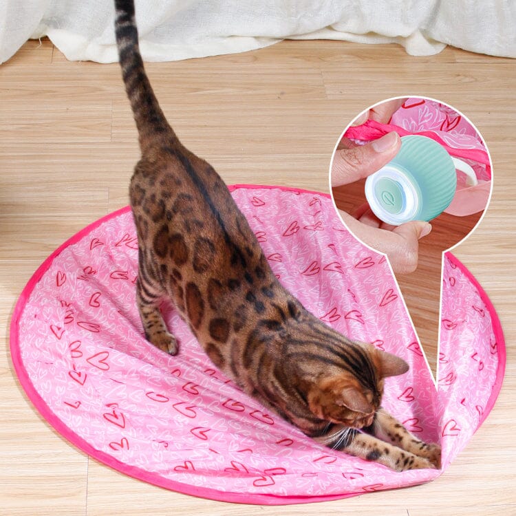 【BIG SALE】2 in 1 Simulated Interactive hunting cat toy