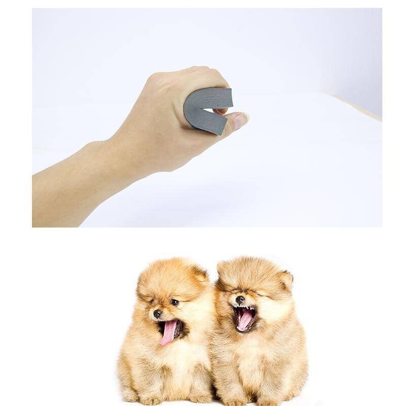 Magic Pet Hair Foam Block Erasing