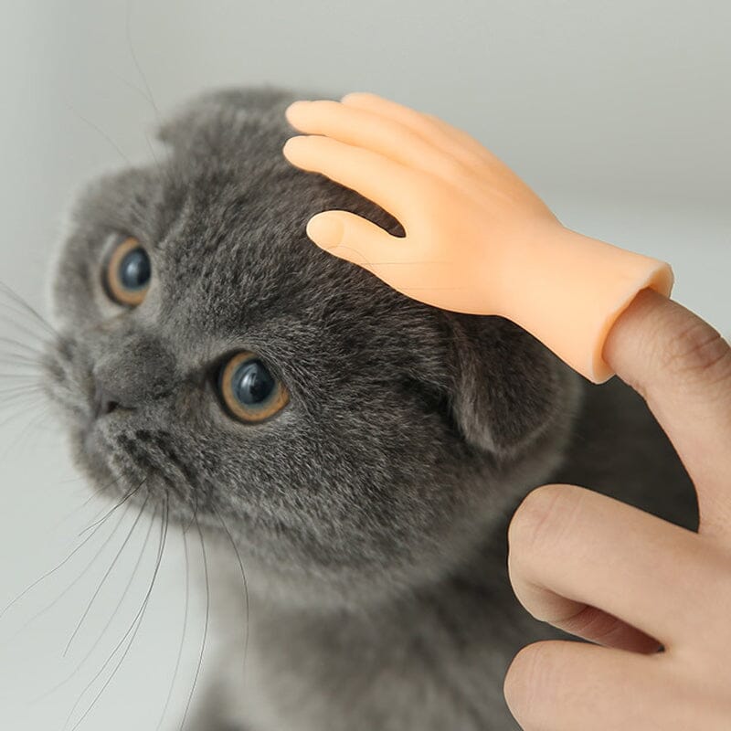 💪🐱Funny Cat Massage Gloves