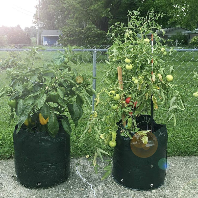 Potato Grow Bags