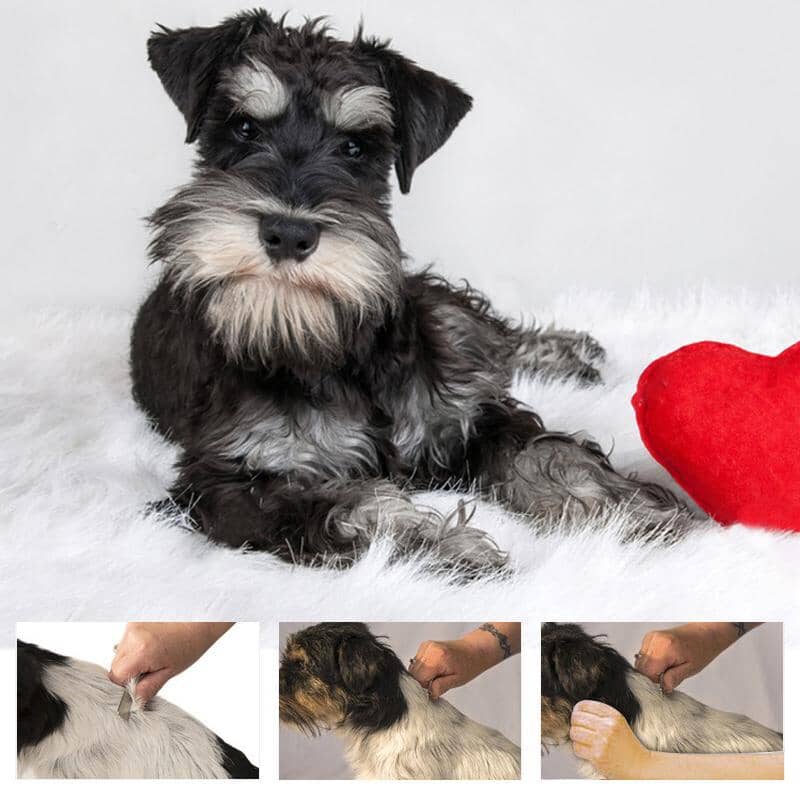 🐱Pet Hair Remover Comb🐶