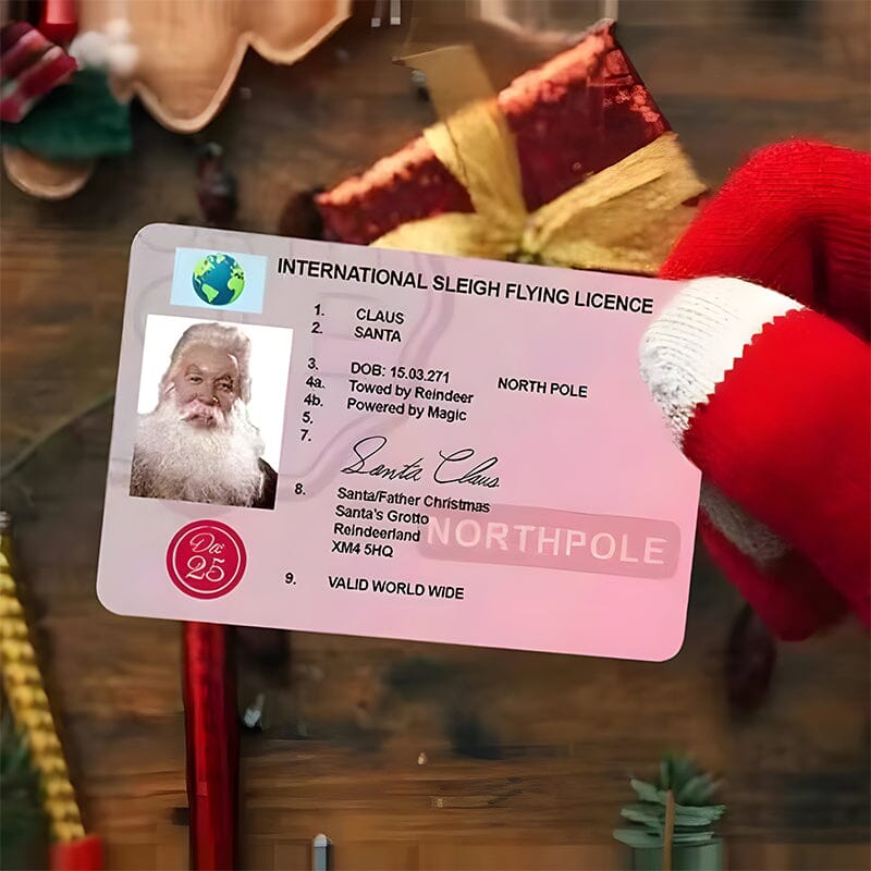 🎅Santa's Lost Drivers License|Funny Gifts For Kids