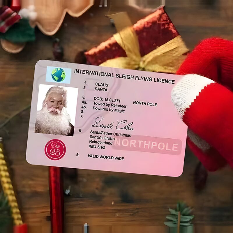 🎅Santa's Lost Drivers License|Funny Gifts For Kids