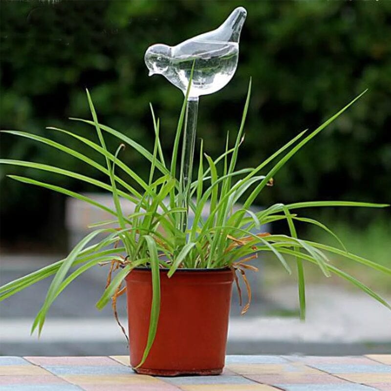 Bird Shaped Glass Automatic Watering Device