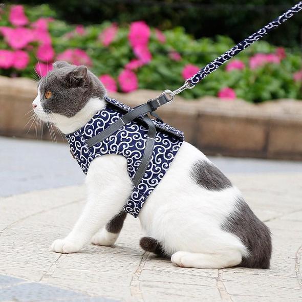 Cat Vest Harness and Leash Set to Outdoor Walking